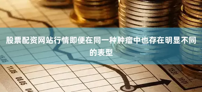 股票配资网站行情即便在同一种肿瘤中也存在明显不同的表型