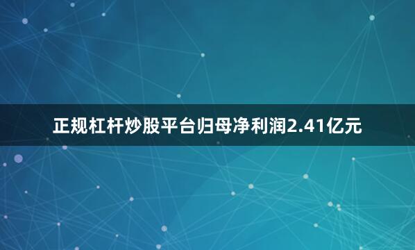 正规杠杆炒股平台归母净利润2.41亿元