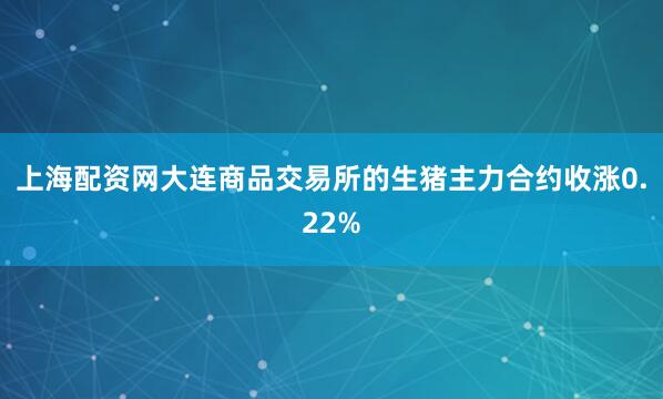 上海配资网大连商品交易所的生猪主力合约收涨0.22%