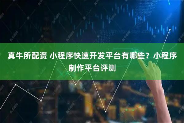 真牛所配资 小程序快速开发平台有哪些？小程序制作平台评测
