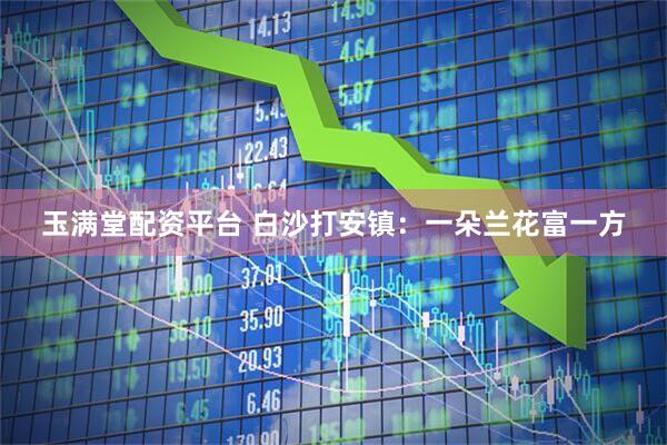 玉满堂配资平台 白沙打安镇：一朵兰花富一方