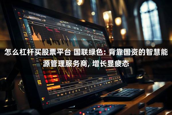怎么杠杆买股票平台 国联绿色: 背靠国资的智慧能源管理服务商, 增长显疲态